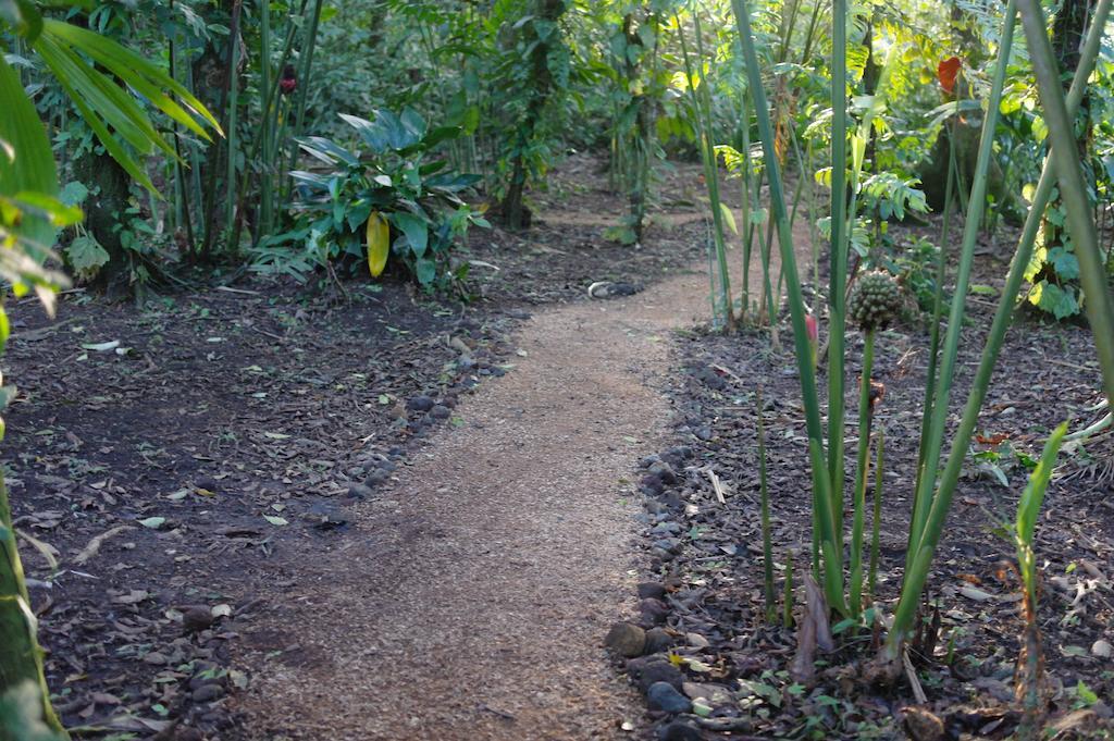 Finca Verde Lodge Бихагуа Экстерьер фото