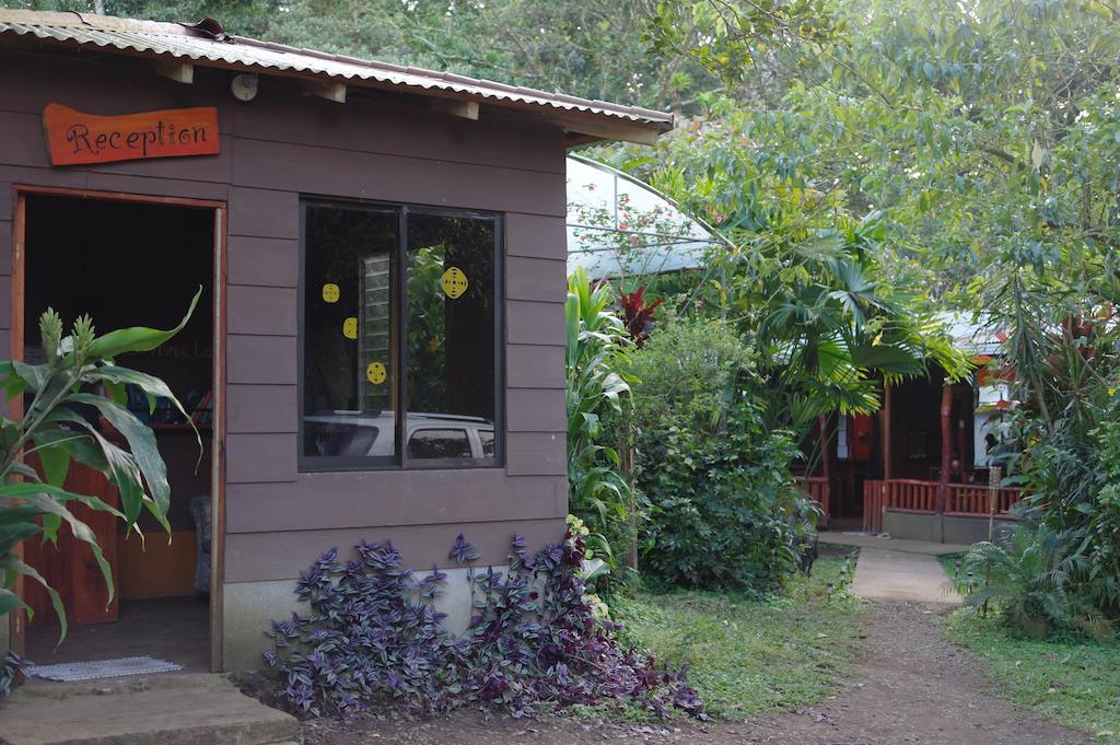 Finca Verde Lodge Бихагуа Экстерьер фото