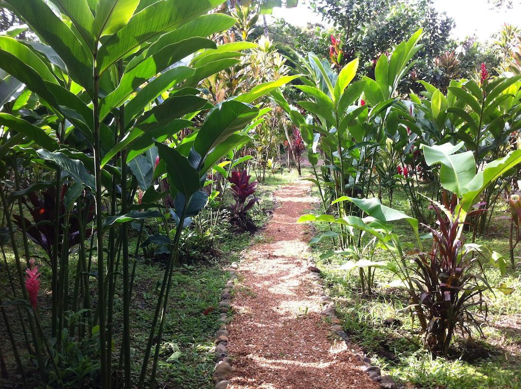 Finca Verde Lodge Бихагуа Экстерьер фото