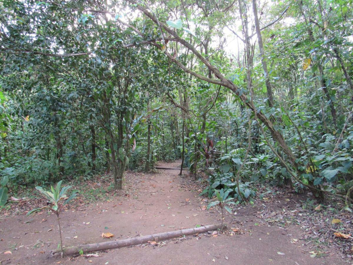 Finca Verde Lodge Бихагуа Экстерьер фото