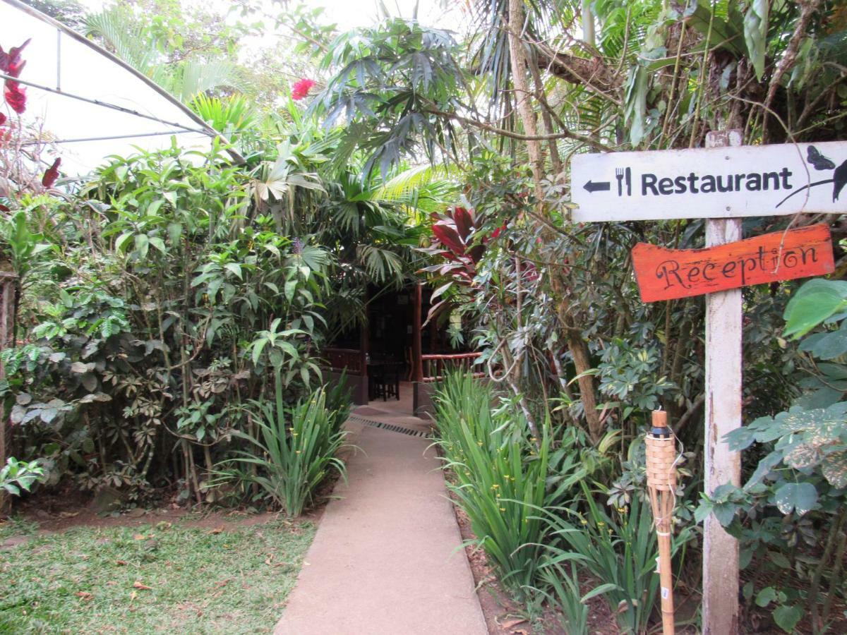 Finca Verde Lodge Бихагуа Экстерьер фото