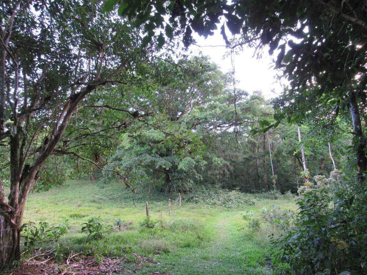 Finca Verde Lodge Бихагуа Экстерьер фото