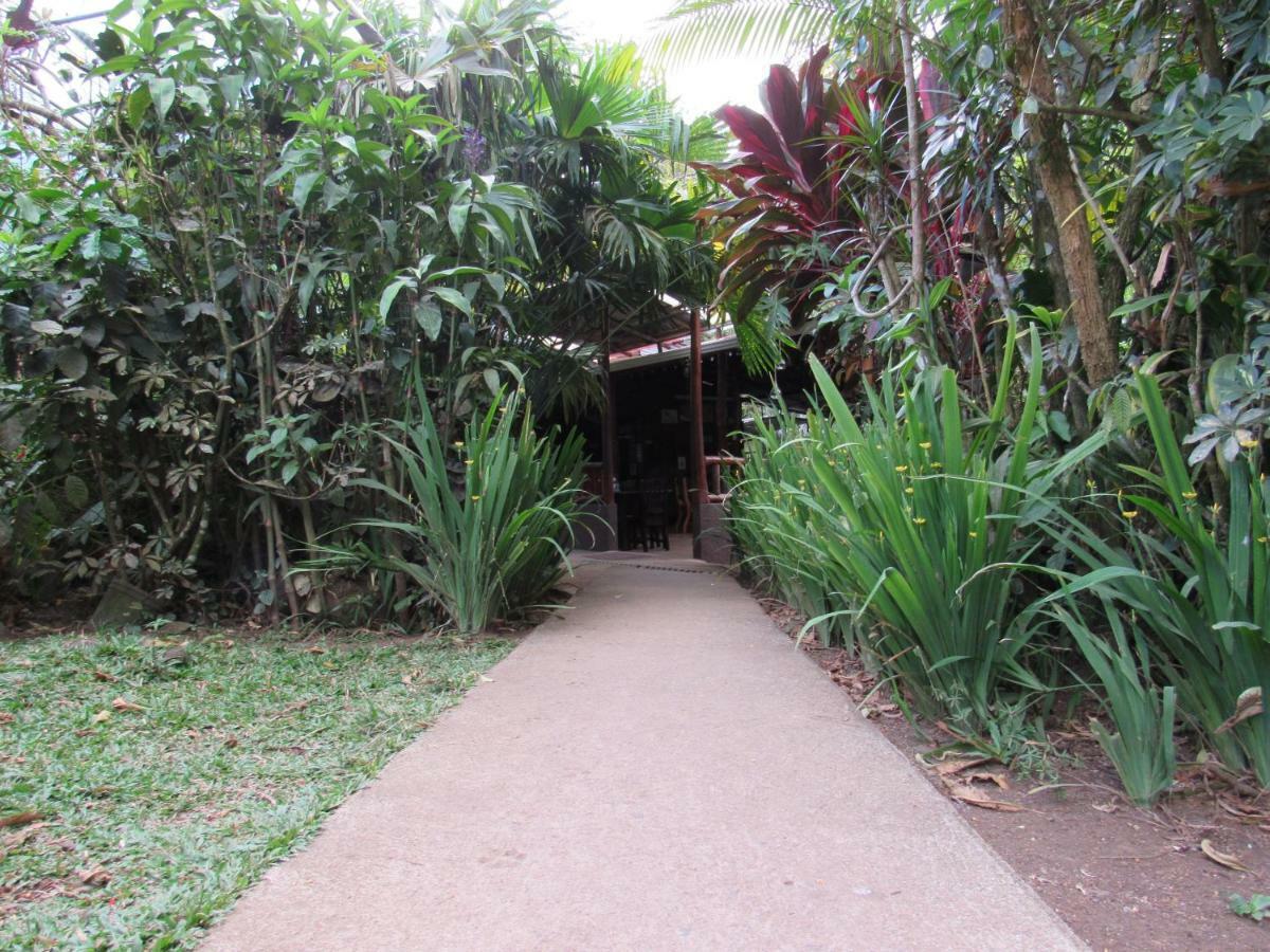 Finca Verde Lodge Бихагуа Экстерьер фото