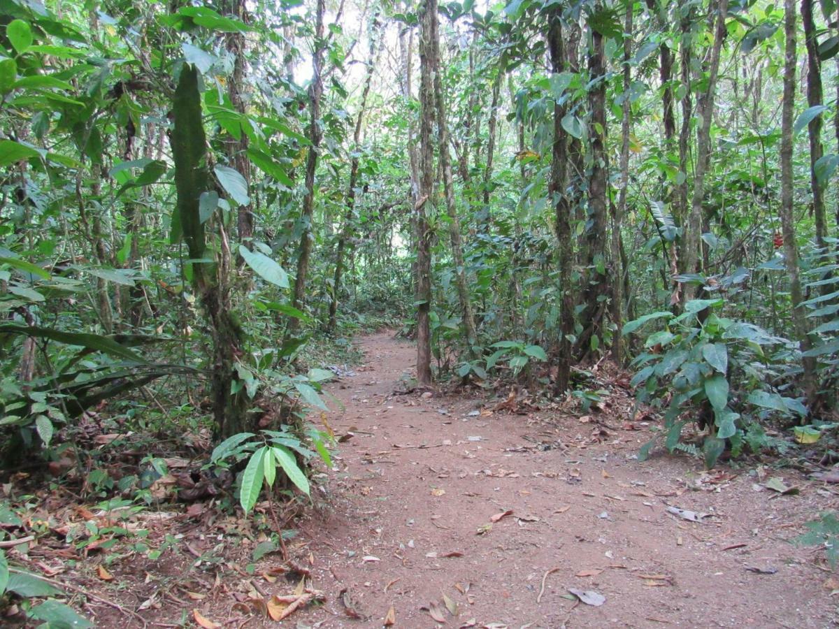 Finca Verde Lodge Бихагуа Экстерьер фото