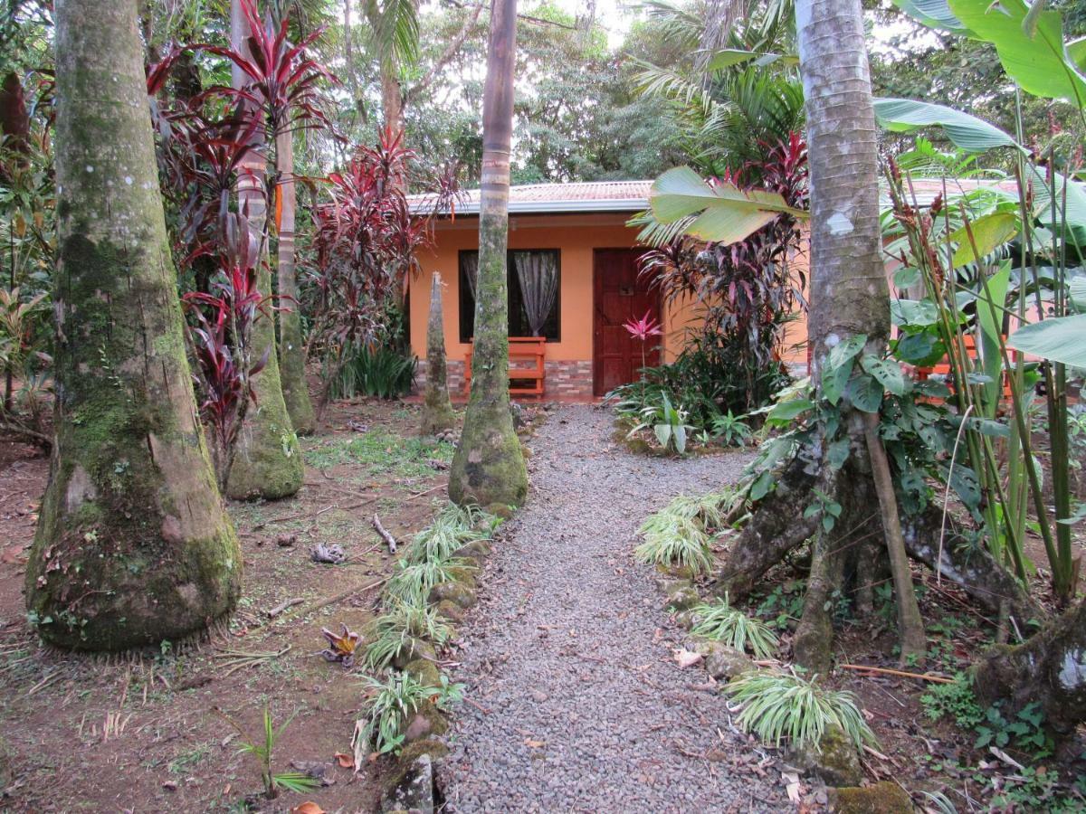 Finca Verde Lodge Бихагуа Экстерьер фото